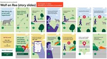 Illustraties_voorbeeld